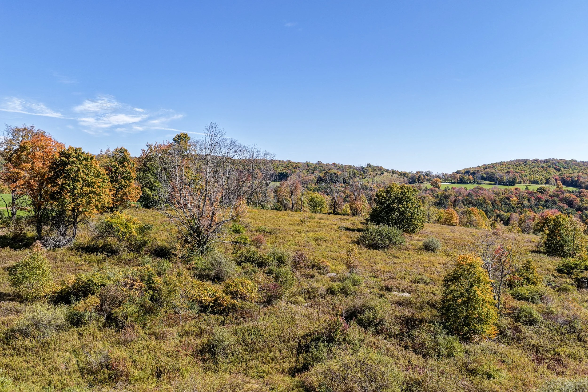 DJI_20261007121610_0287_D-2.jpg