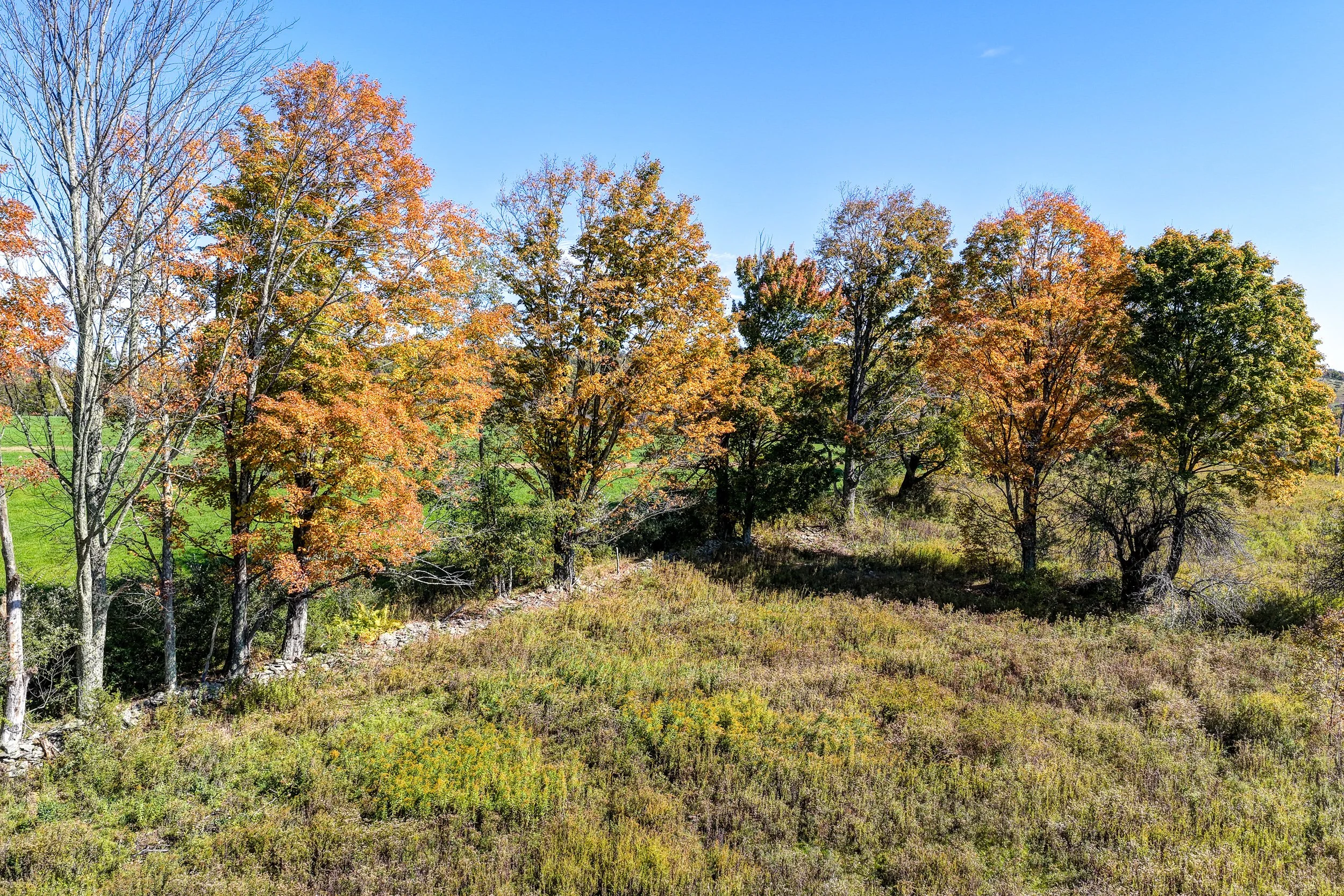 DJI_20261007121701_0296_D-2.jpg