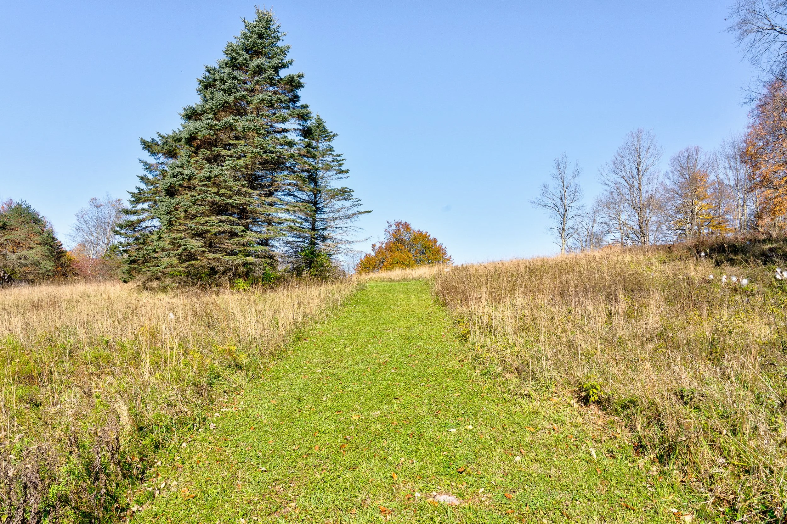 masnsfield_35.jpg