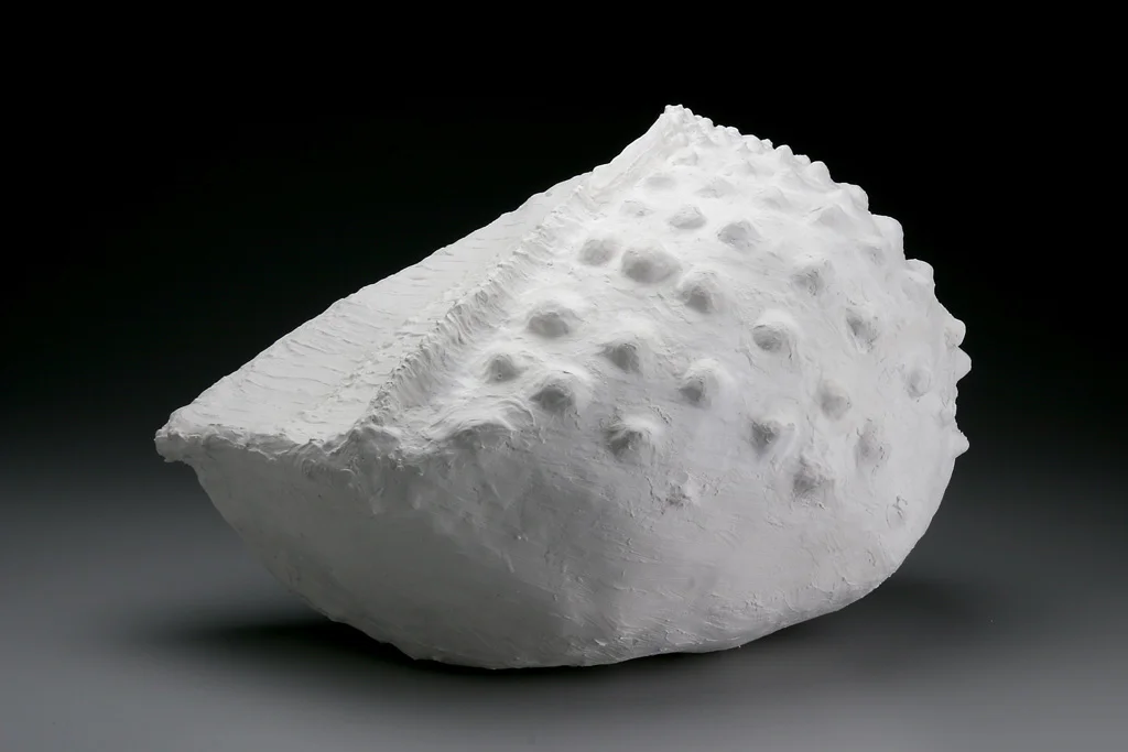 Extinct Shell Form