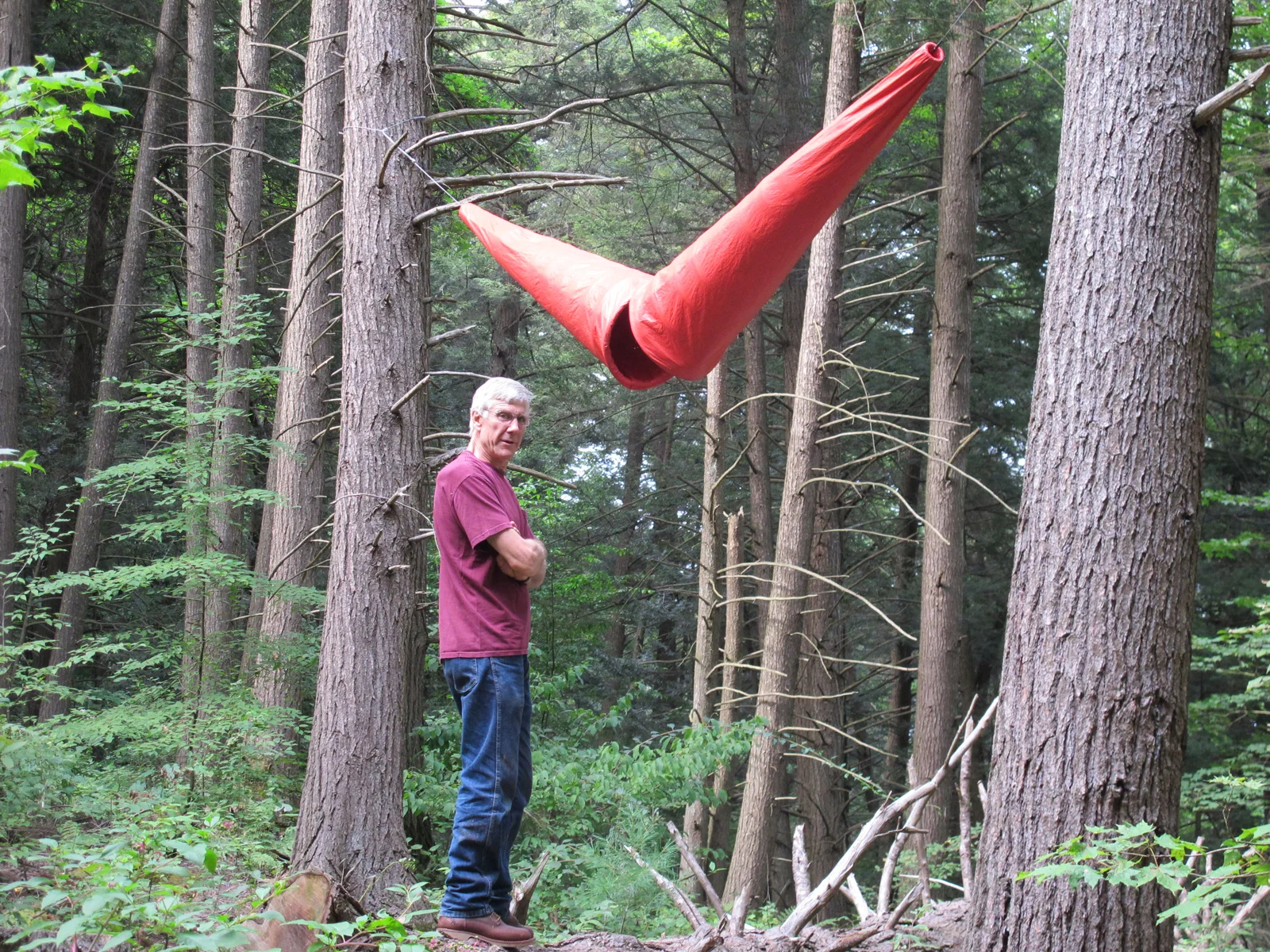 Tree Cones