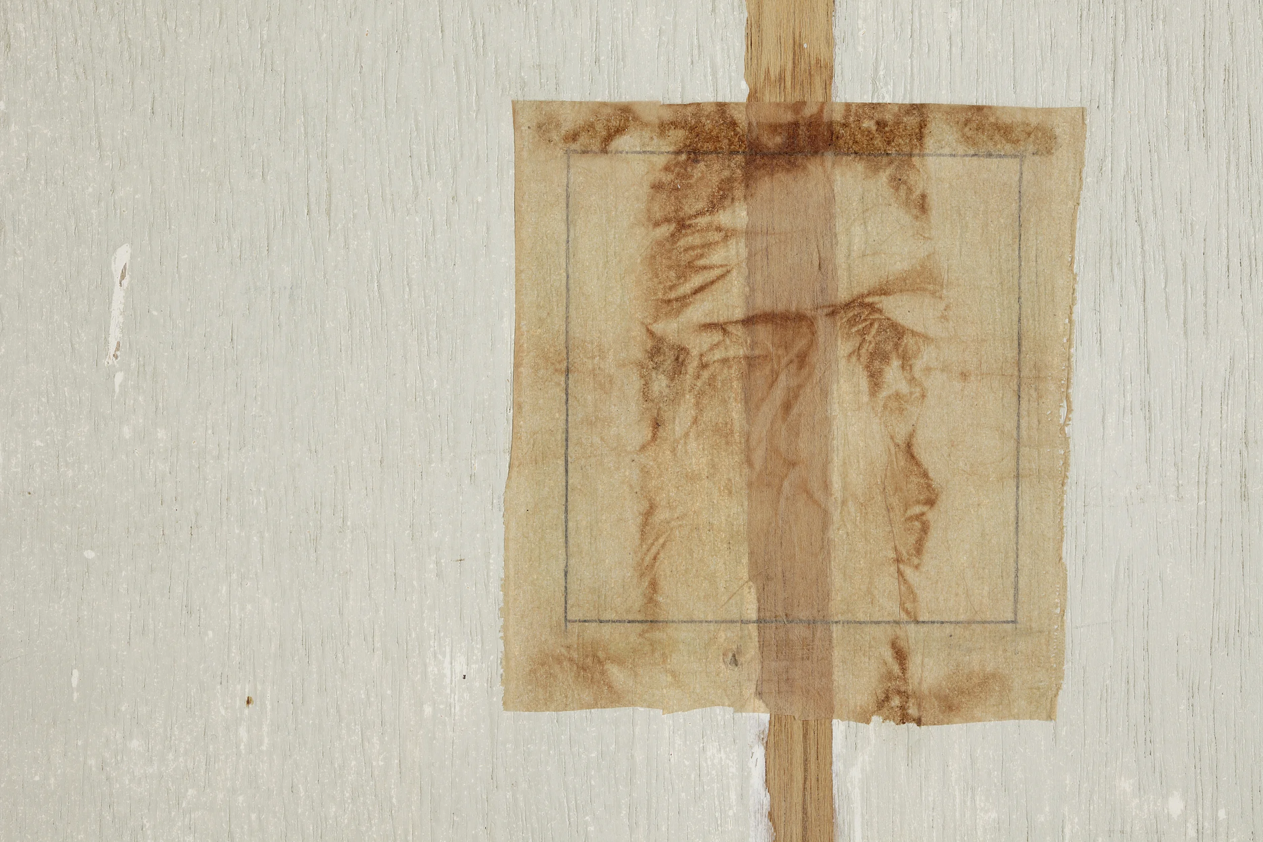 Detail - Mytoi
