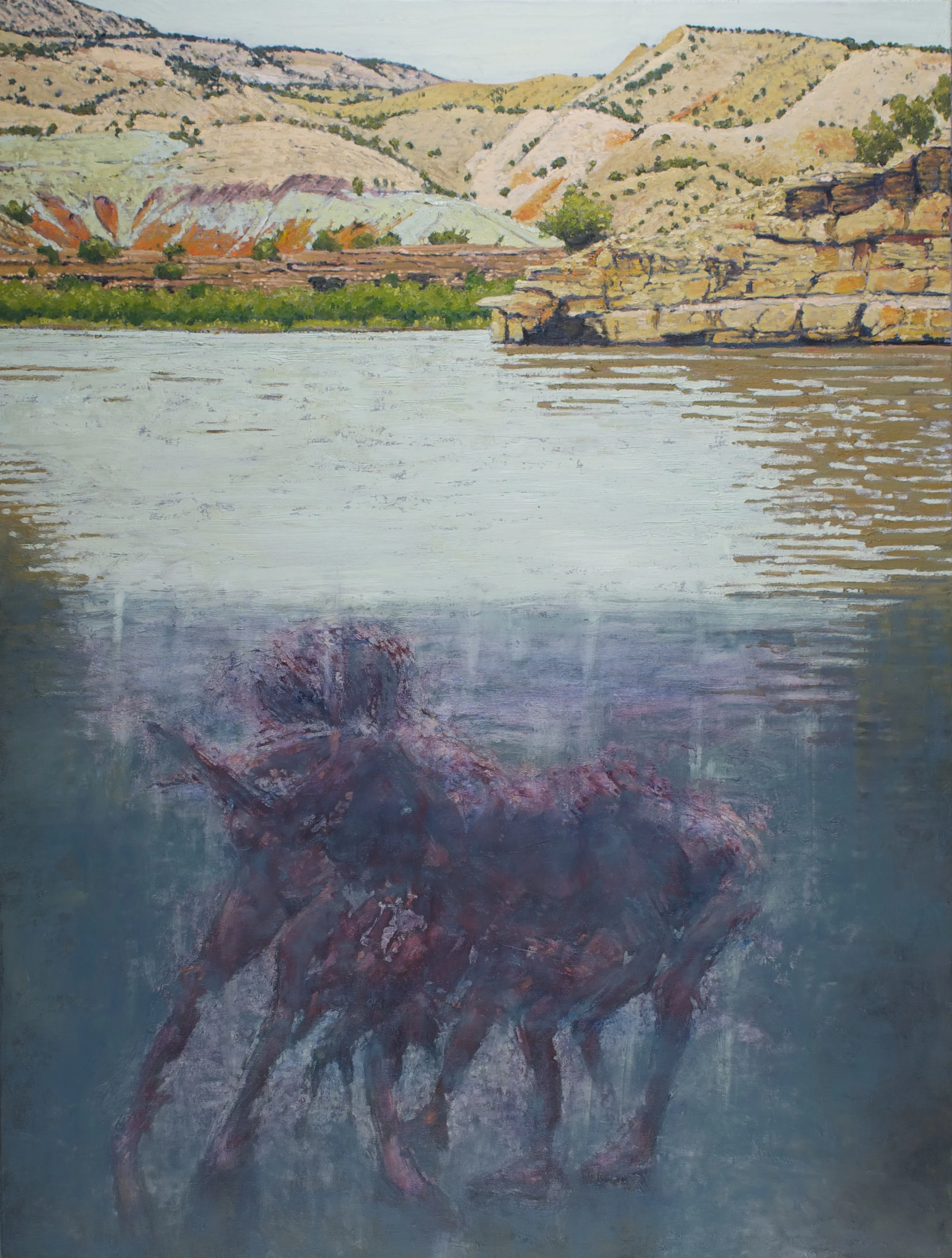 Non-Integrated Transitioning Correspondences, 2014. Oil on canvas. 24 x 36 inches. 