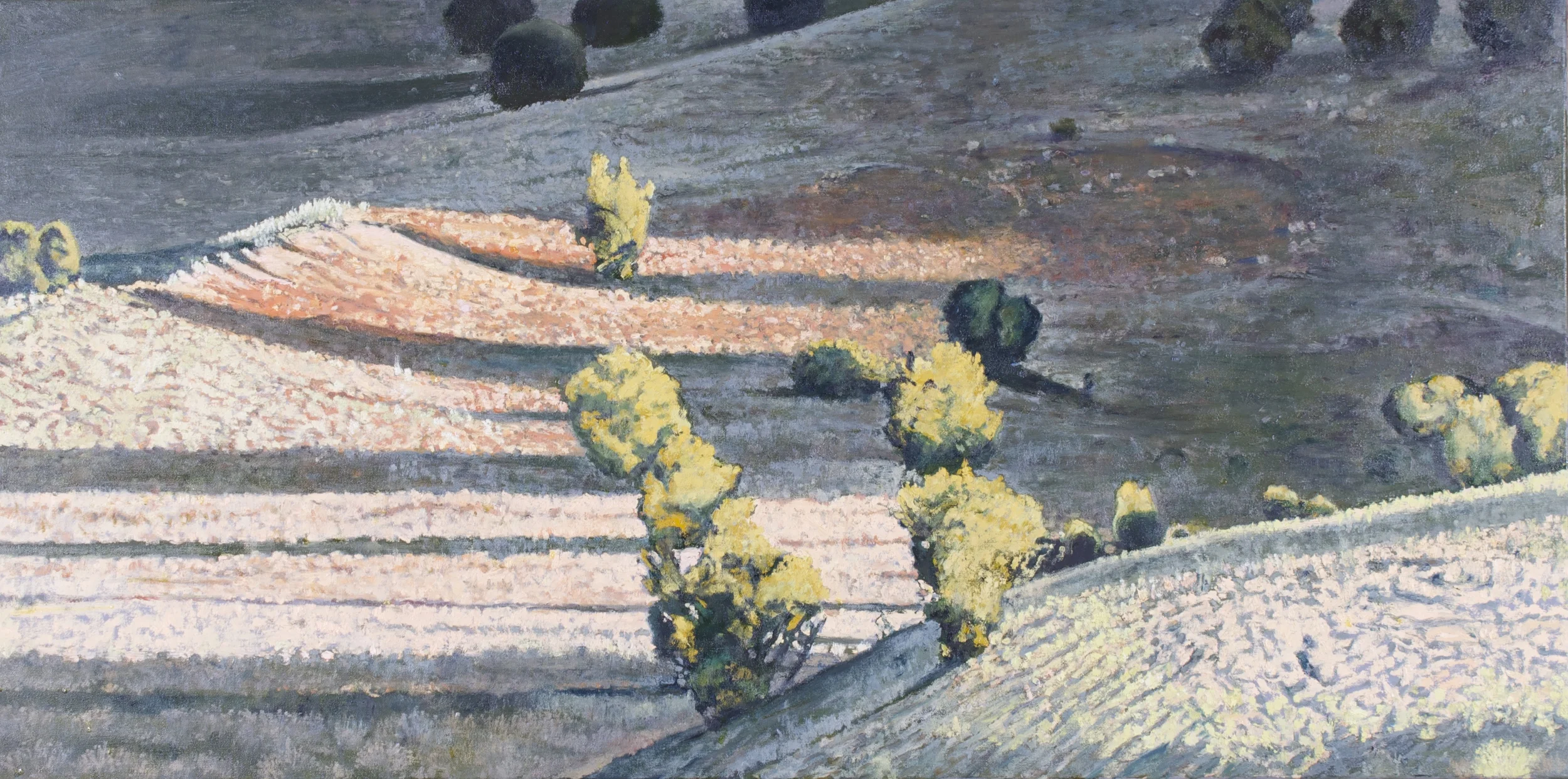 Integrated Resolving Recollections, 2014. Oil on canvas. 24 x 48 inches. Catalog number 14018. 