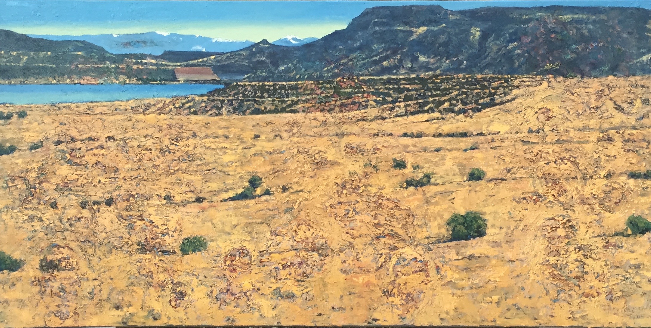 Provisional Subtle Anomalies Detected 2015 oil on canvas 24" x 48" 15011