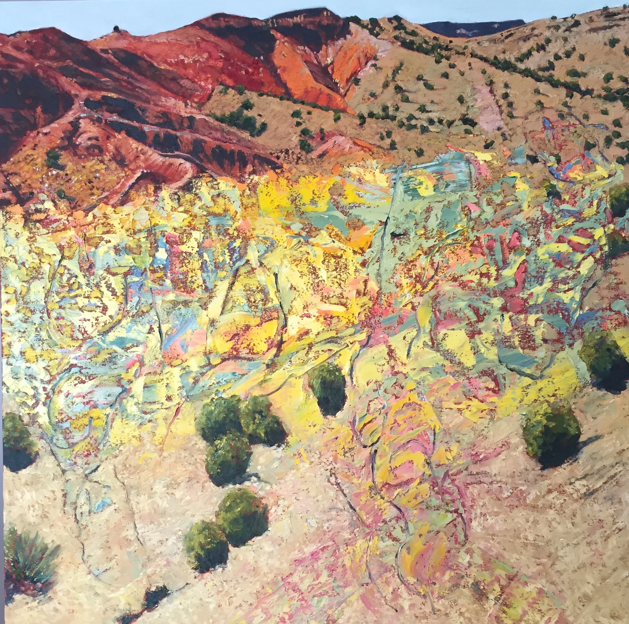 Determined Expansive Anomalies Accomplished 2016 oil on canvas 30" x 30" cat no 16010