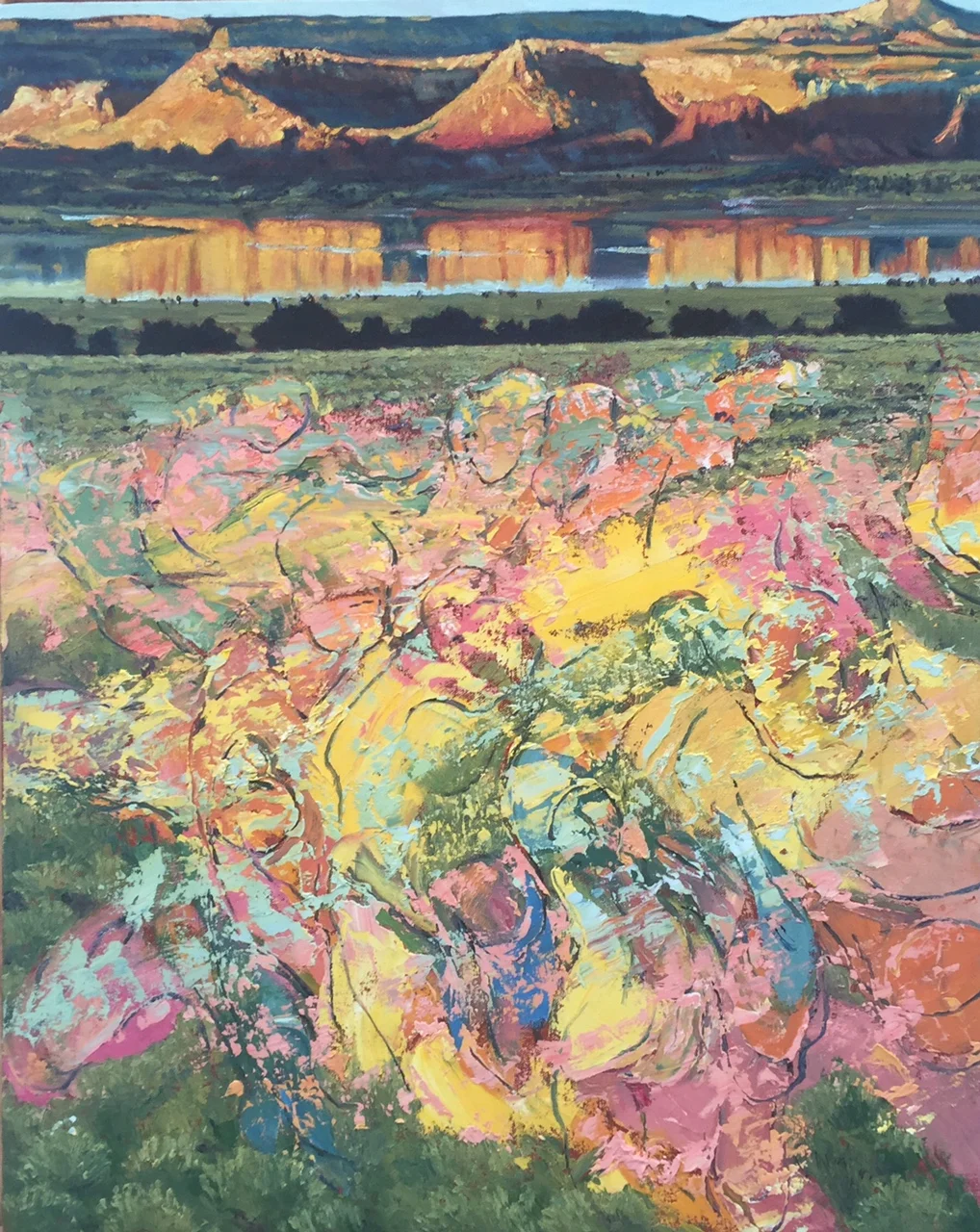 Emergent Realizing Anomalies 2016 oil on canvas 30" x 24' CAT NO 16017