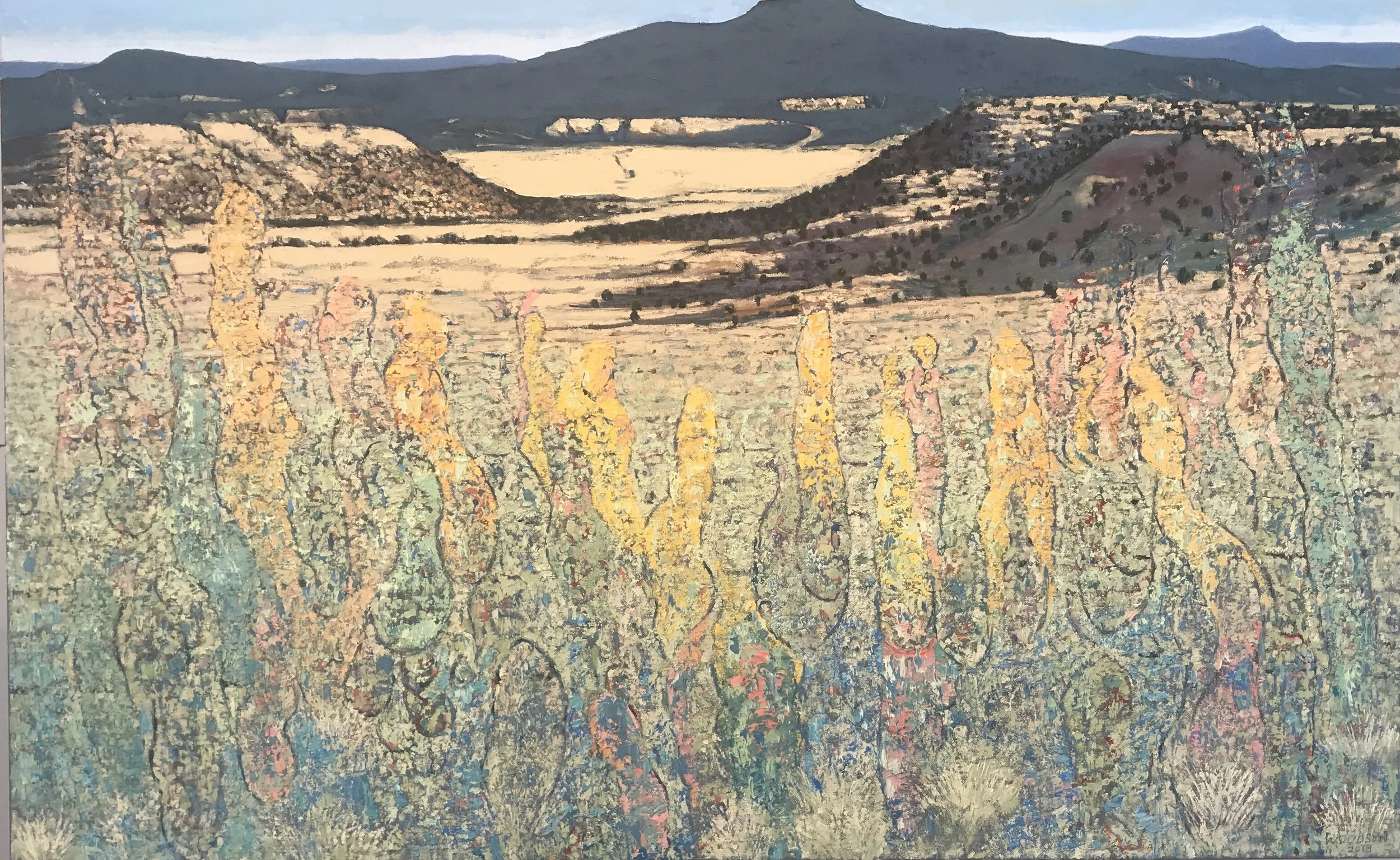 Declared Emerging Obscure Conflations 2019 oil on canvas 30"x 48" cat no 18014