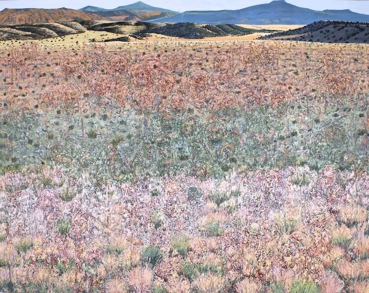 Adapted Conjoining Re-Cognitions, 2012. Oil on canvas. 75 x 96 inches. Catalog number 20004. 