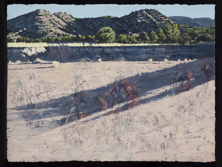 Ascending Transitory Promise, 2012. Acrylic on paper. 23 1/8 x 30 1/8 inches. 