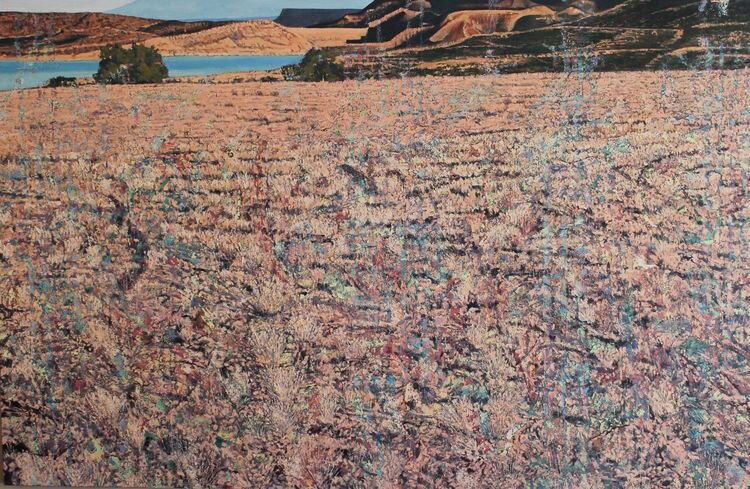 Proximating Simultaneous Coherences  New Mexico 2006 oil on canvas  45%22 x 66 1:2%22.jpg