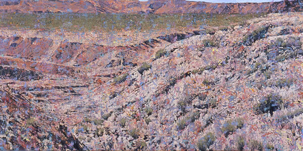 Continuous Informing Field no 3 New Mexico  2004  oil on canvas  24" x 40"