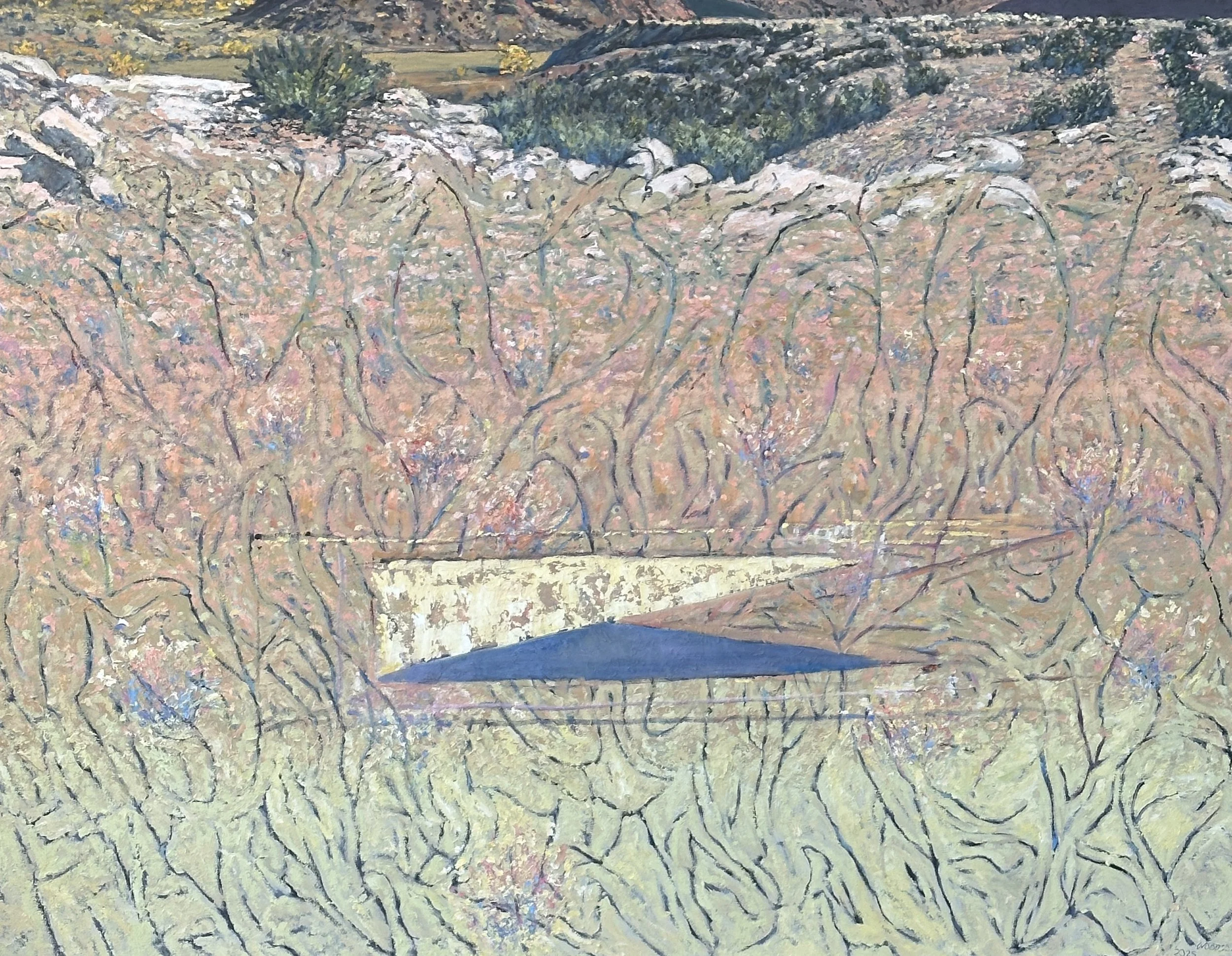 Potential String Propagations. 2025. oil on canvas. 36' X 48'  catalog number 25020 (Copy)