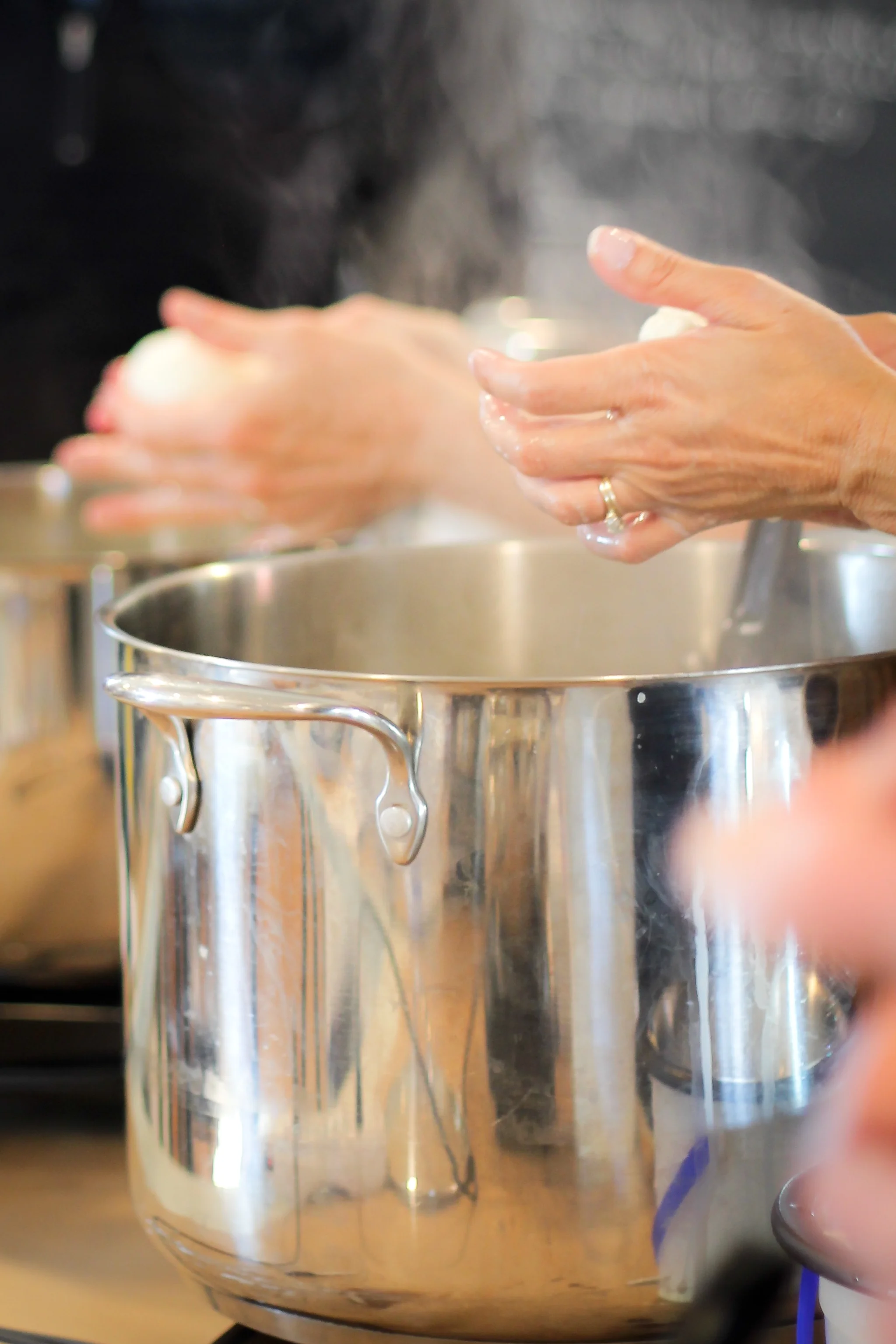 Cheesemaking with Award-winnning Cheesemaker, Lois of Reichert's Dairy Air