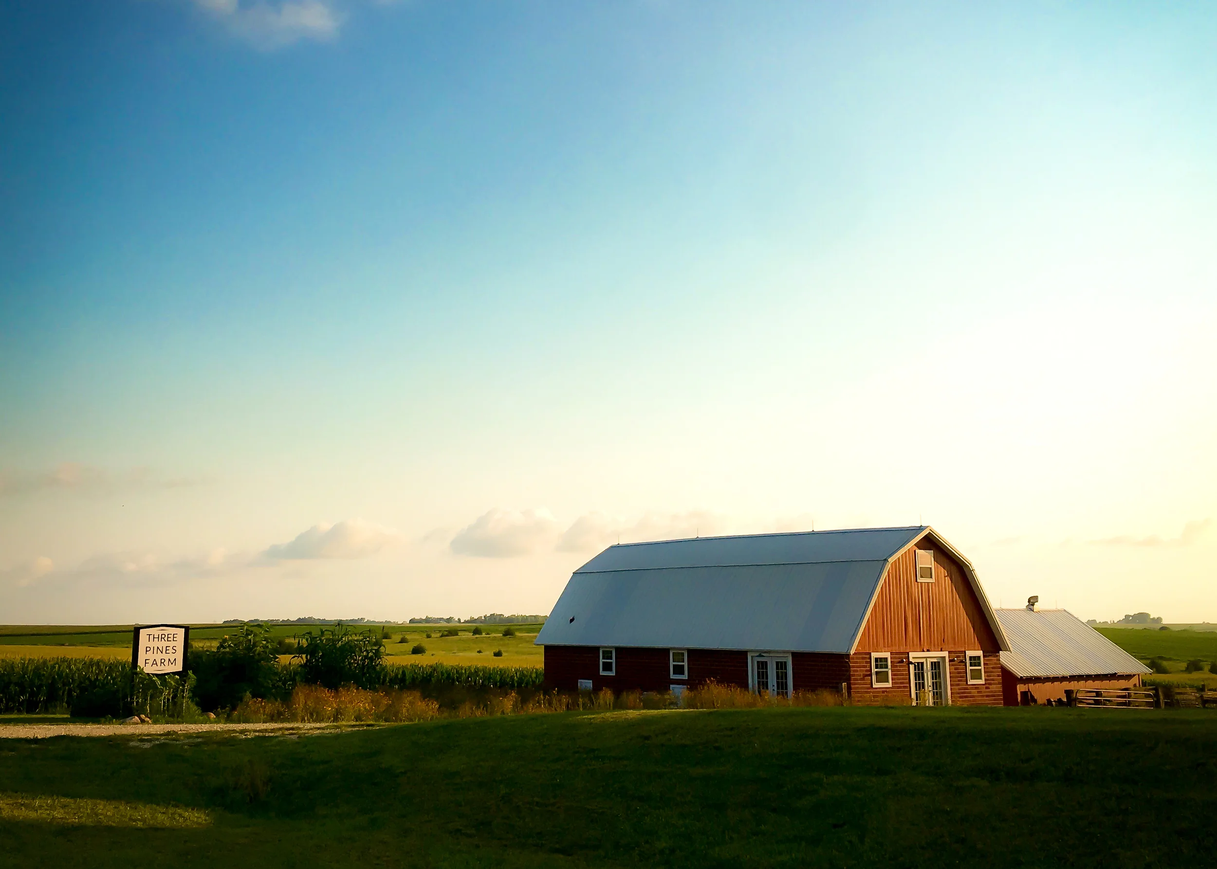 Three Pines Farm, Summer 2016