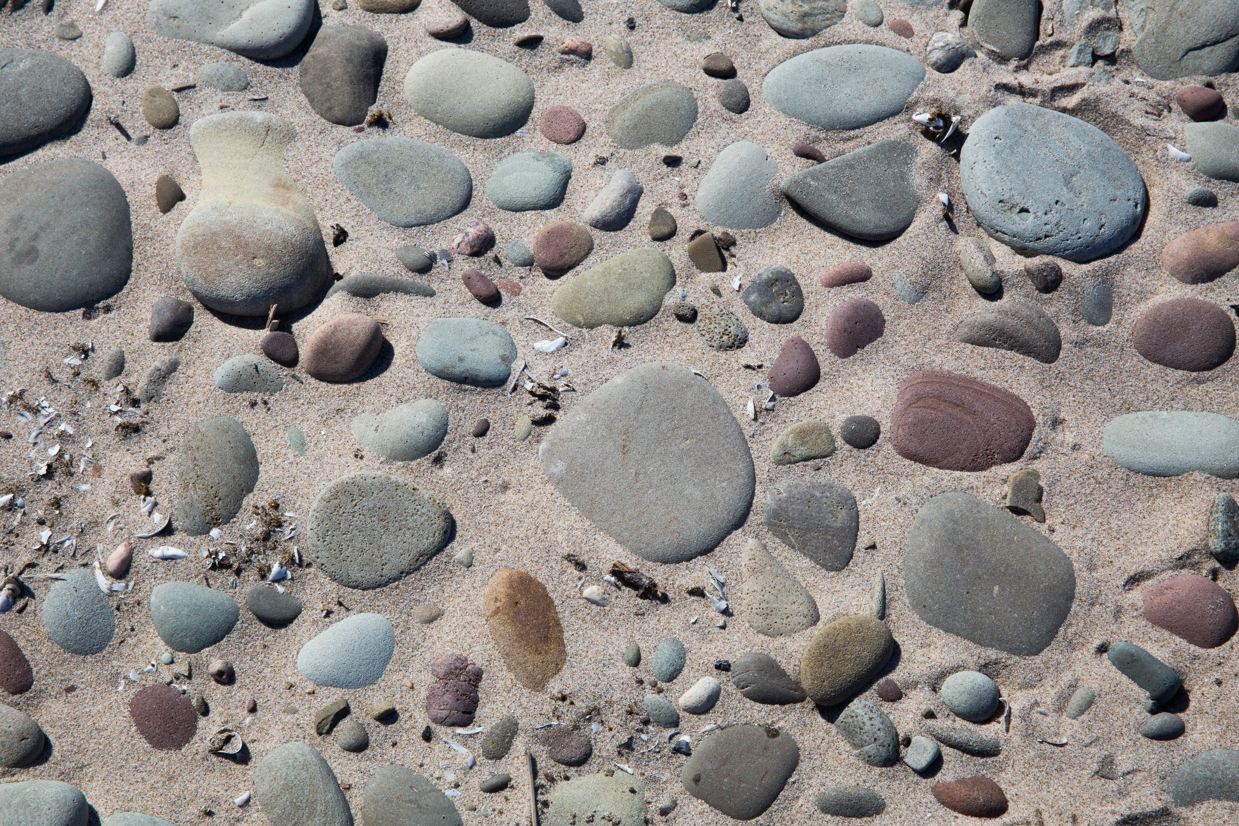 Beach Mosiac