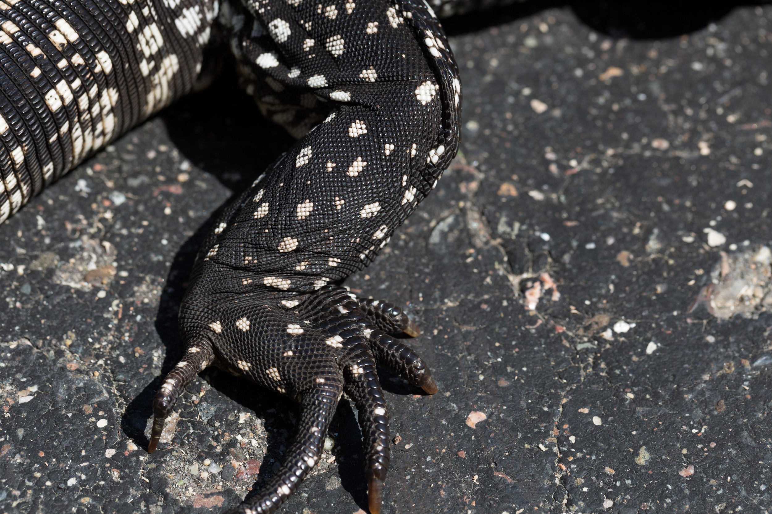 Sharp Scales