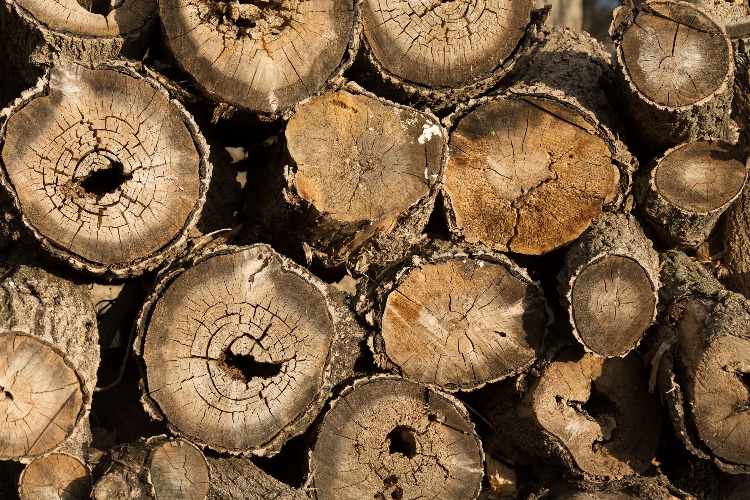 Wood Stubs