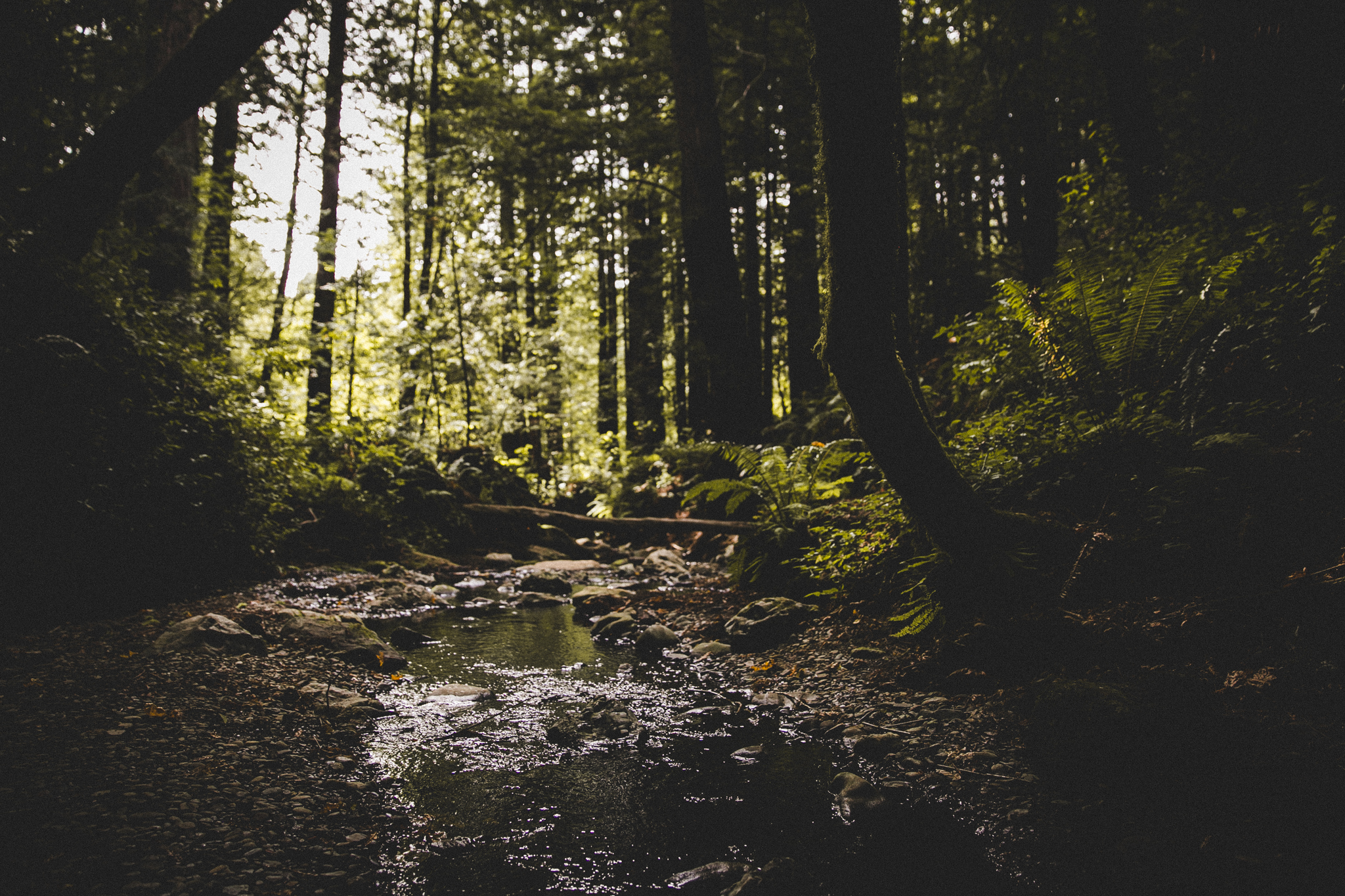 07-20-2014 at 17-32-08.jpg