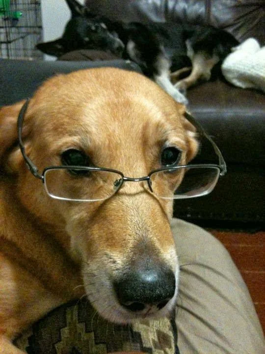 Jethro: The Lovable Monster