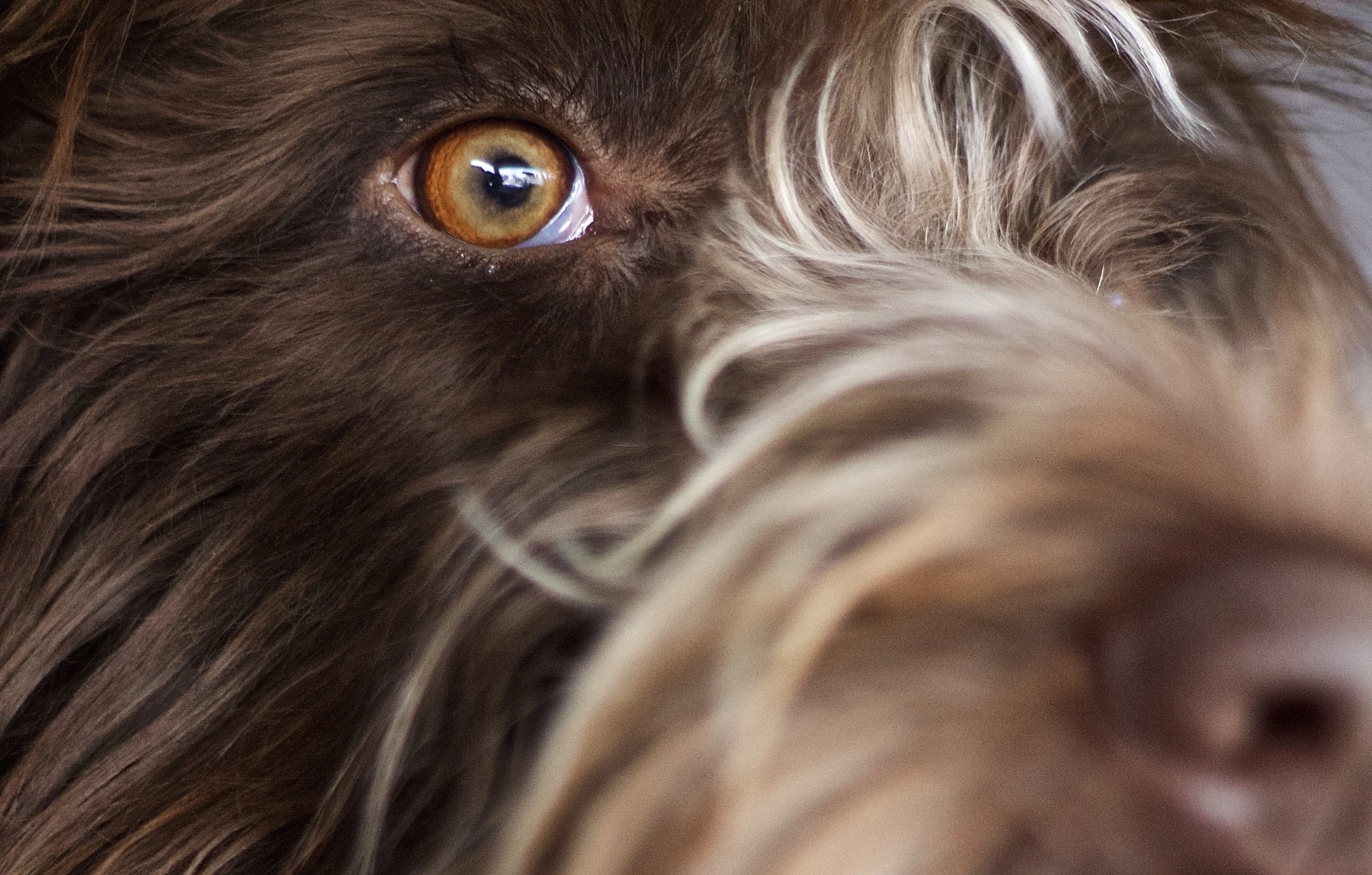 Trained and Confused