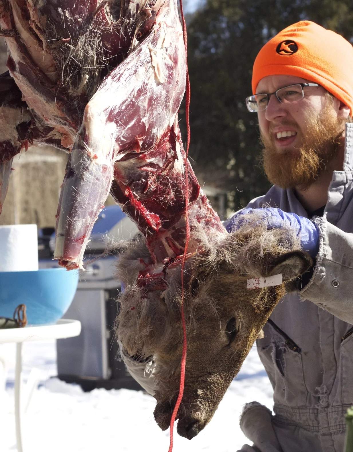 Turning Roadkill into Dinner
