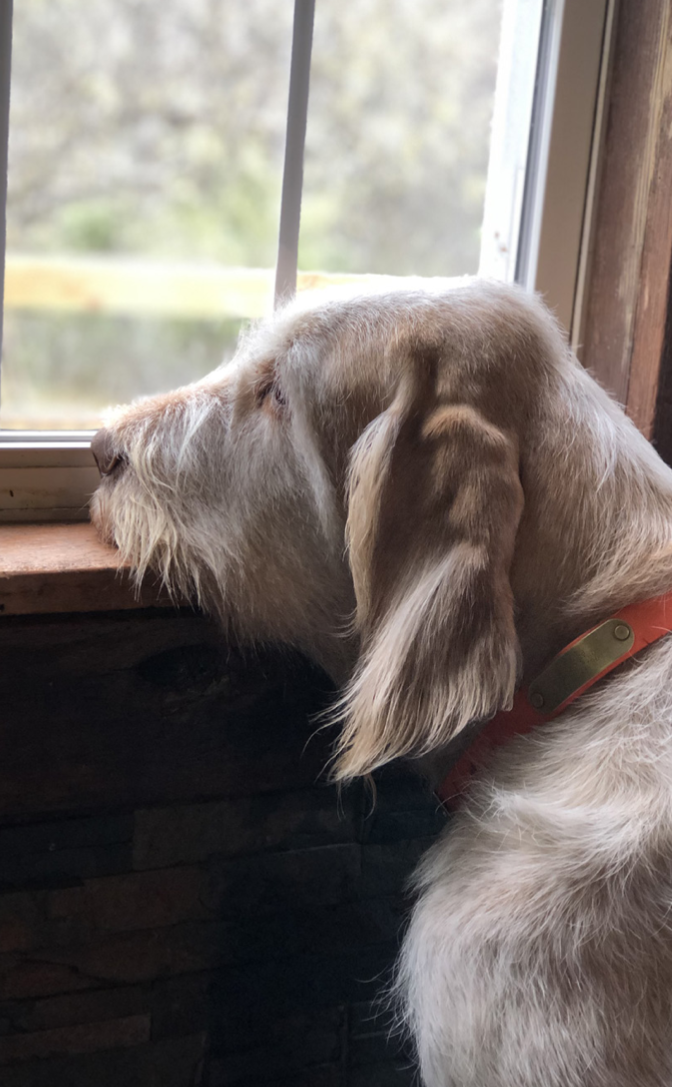 Thoughts to the Future