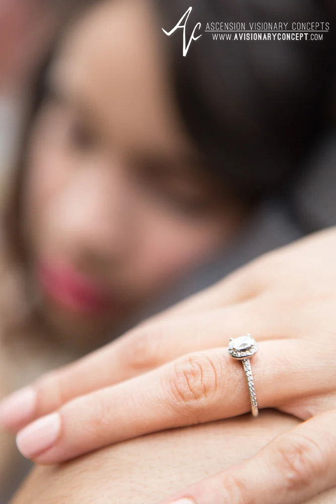 Buffalo Engagement Photography: Delaware Park, Spot Coffee, Kleinhans Music Hall