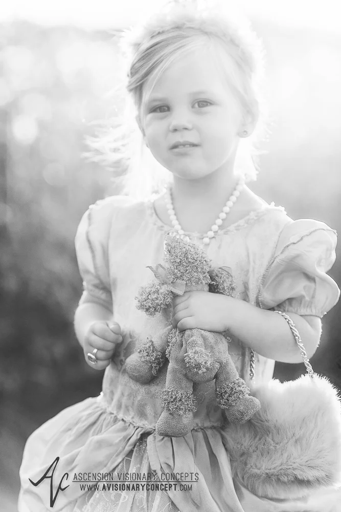 Southeast Indiana Family Photography: Family Farm, Fairytale, Princess