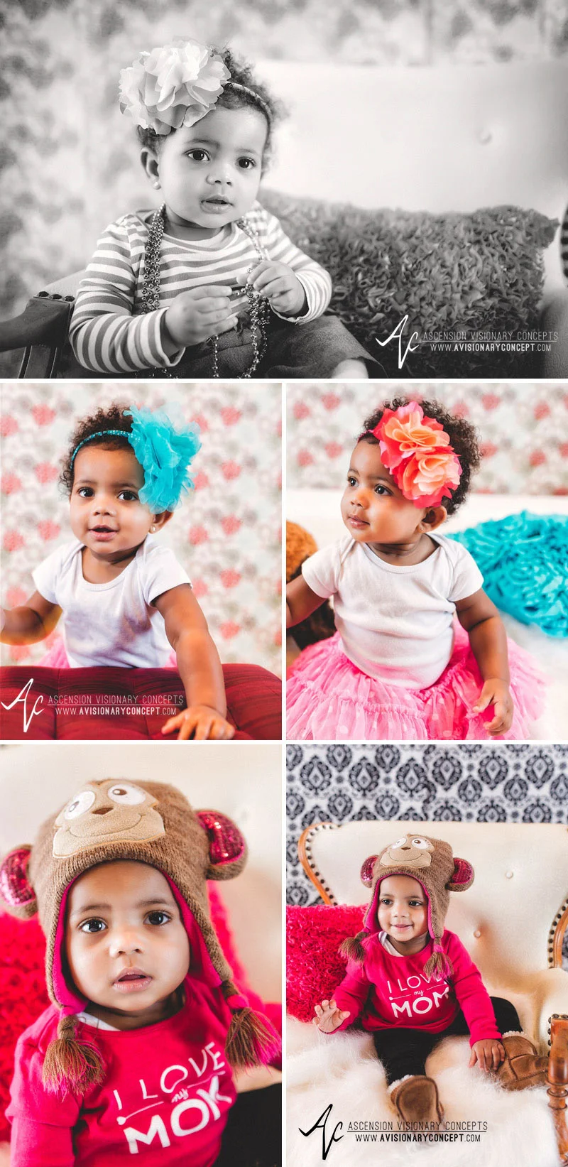 Buffalo Baby Photography
