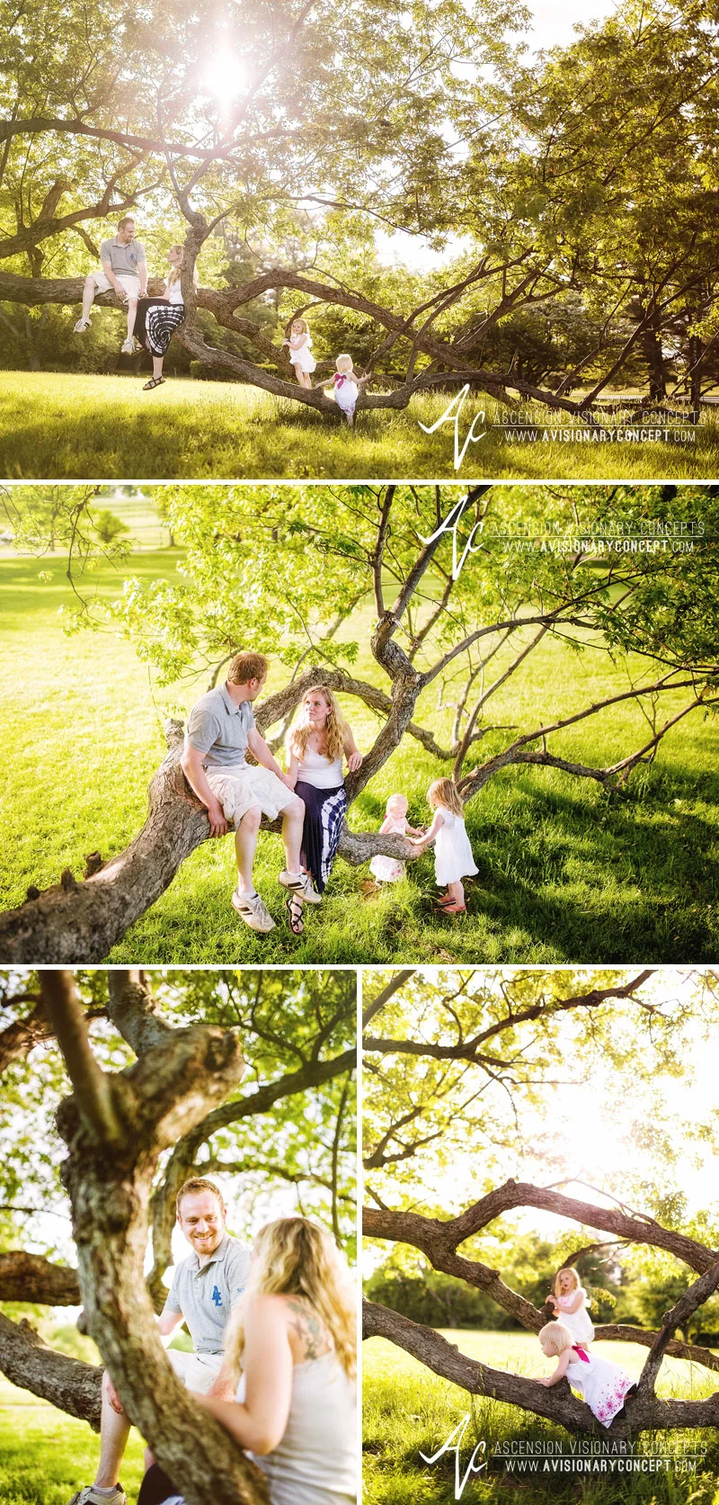Buffalo Engagement Photography