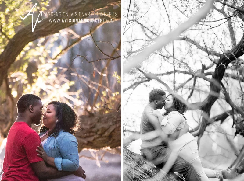 Buffalo Engagement Photography