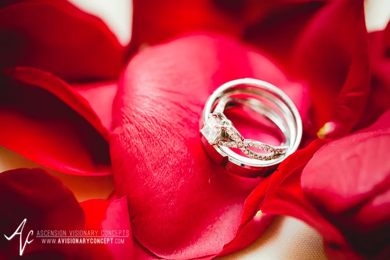 RS-MC-Wed-032-Salvatores-Italian-Gardens-Reception-Wedding-Rings.jpg