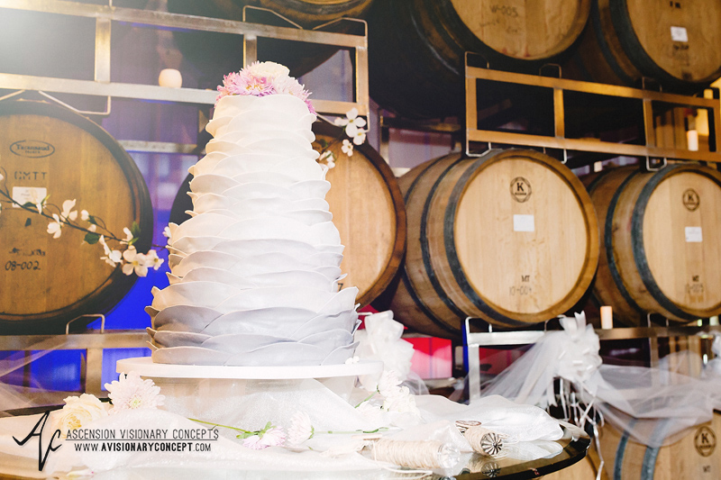 Buffalo Wedding Photography