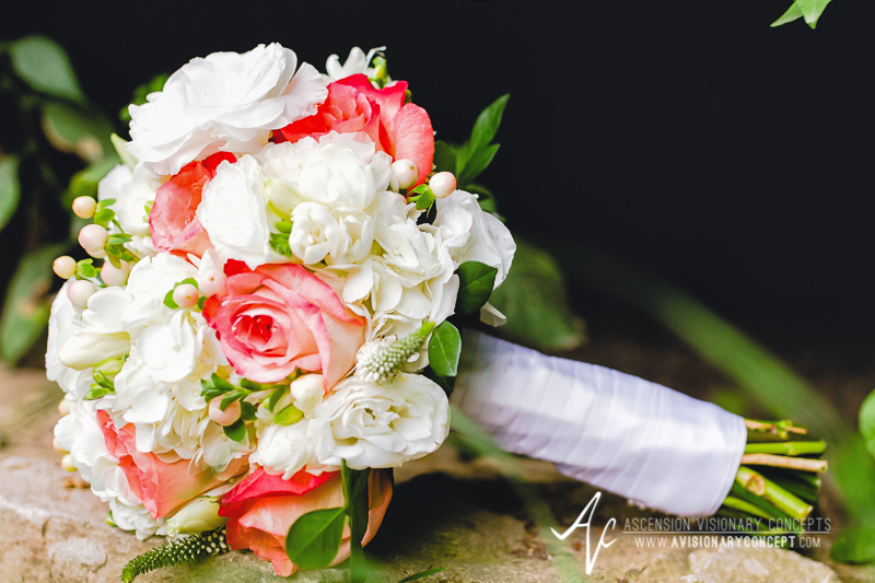 BuffaloWeddingPhotography