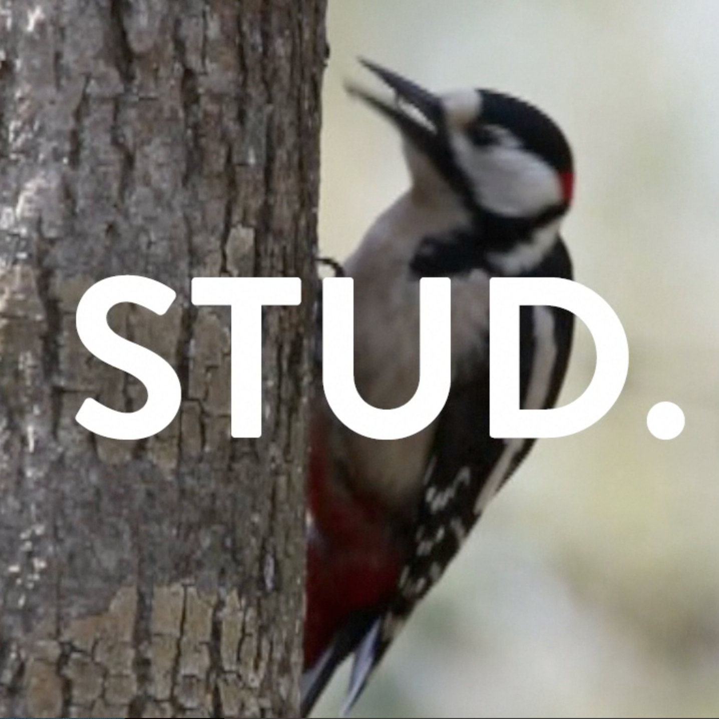 Fresh + Sexy Pecker