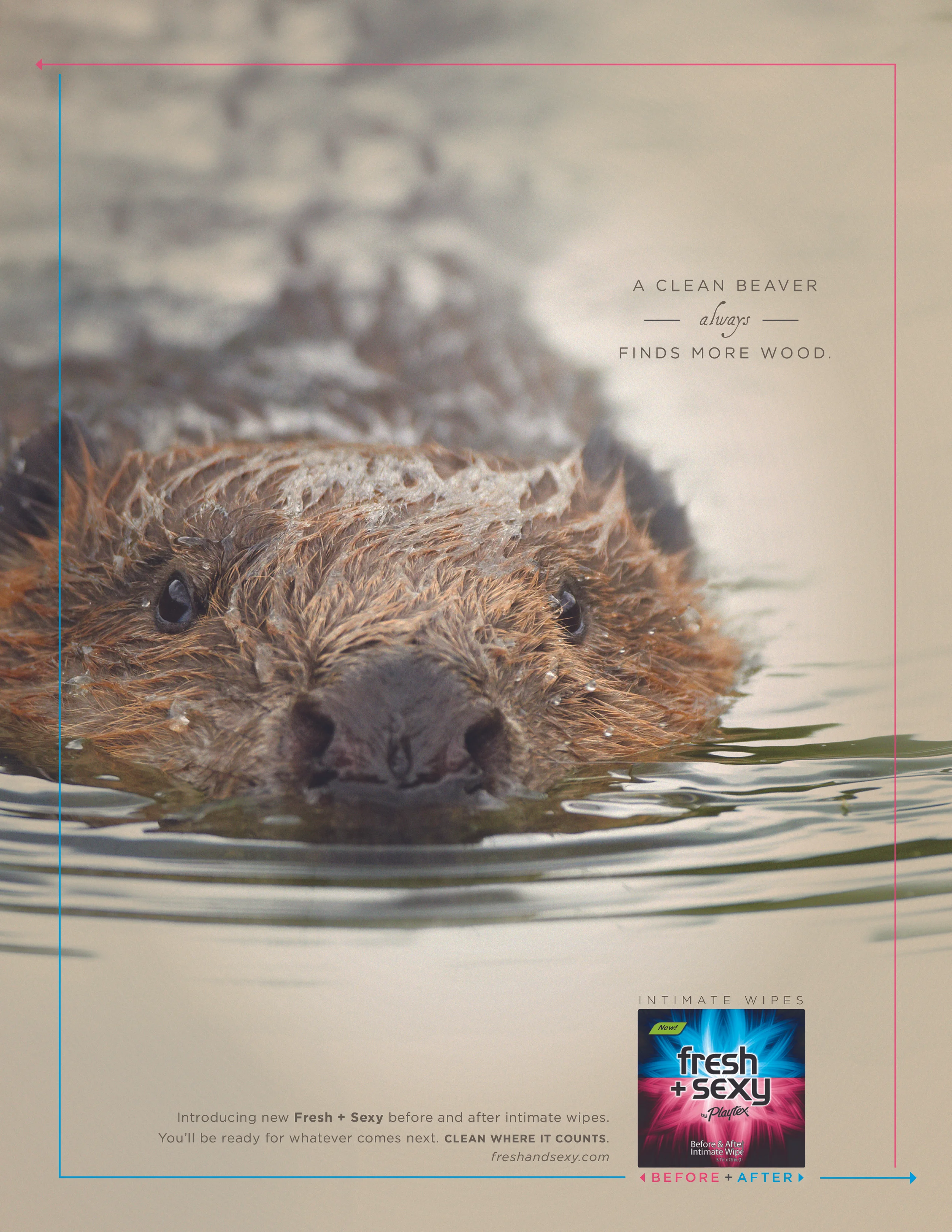 Beaver-Print