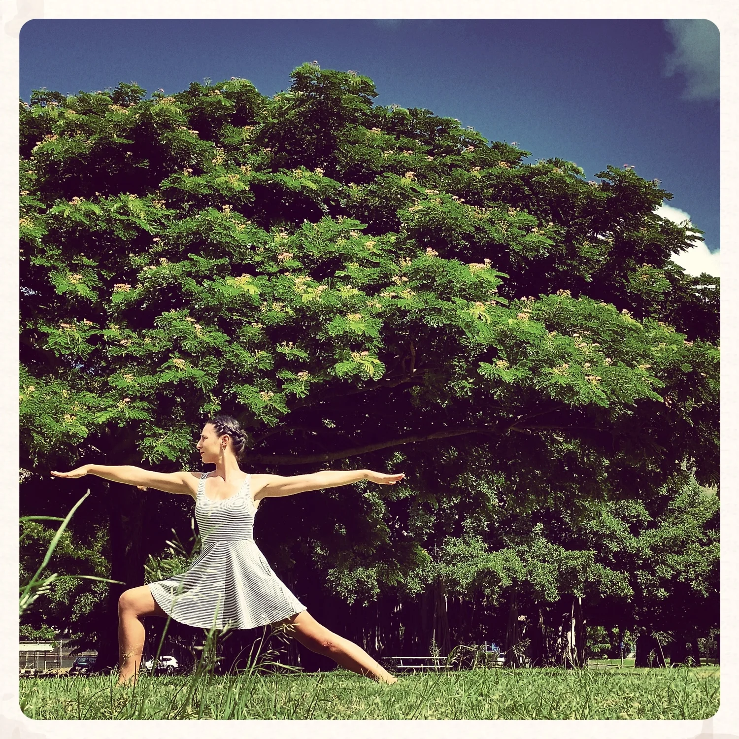 Timer selfie at Kapiolani Park, Honolulu Hawaii. Strong, graceful, and empowered warrior two, ready to take on life's hurdles.