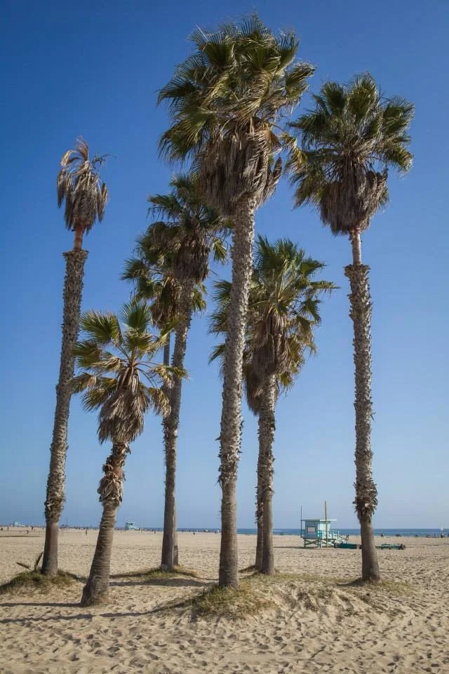 Santa Monica Beach 