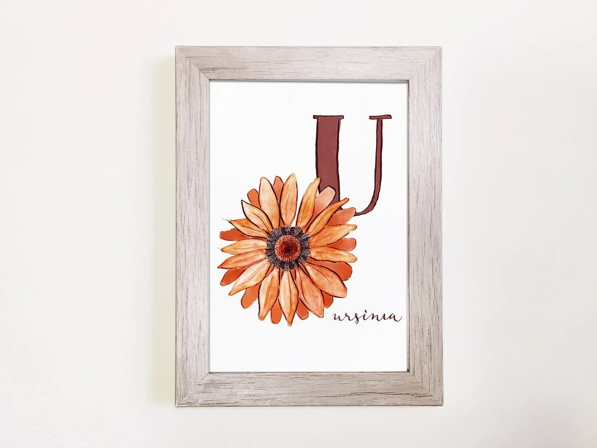 https://i.etsystatic.com/11301161/r/il/a73bf5/1029889019/il_fullxfull.1029889019_eq51.jpg