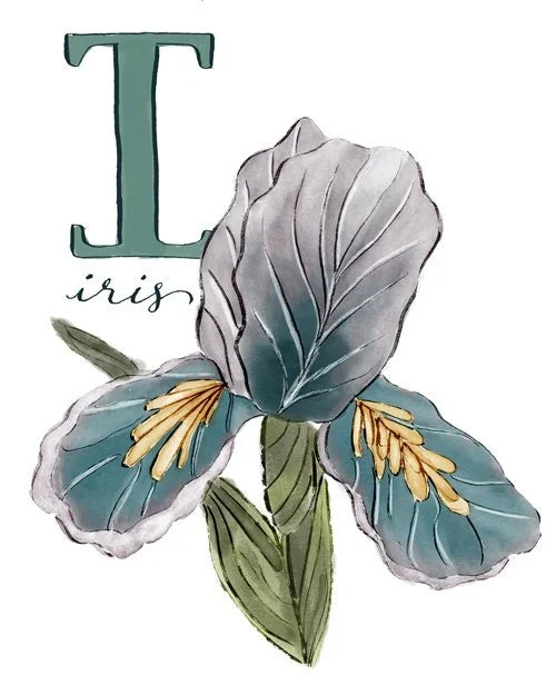 https://i.etsystatic.com/11301161/r/il/1b1bf2/983353164/il_fullxfull.983353164_dotg.jpg