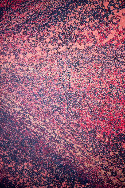 Red Dream - Closeup 2