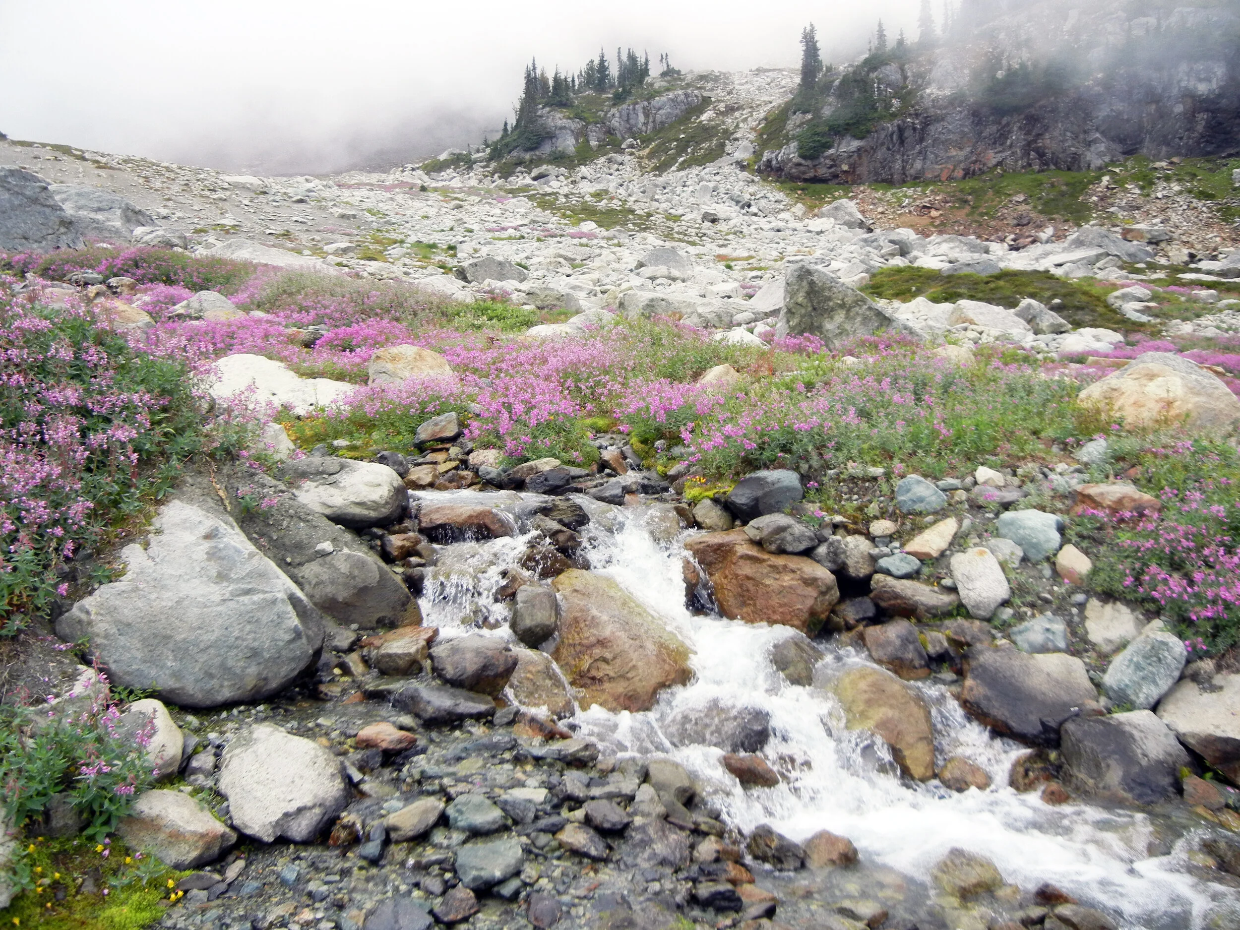 Whistler Waterfall 01.JPG
