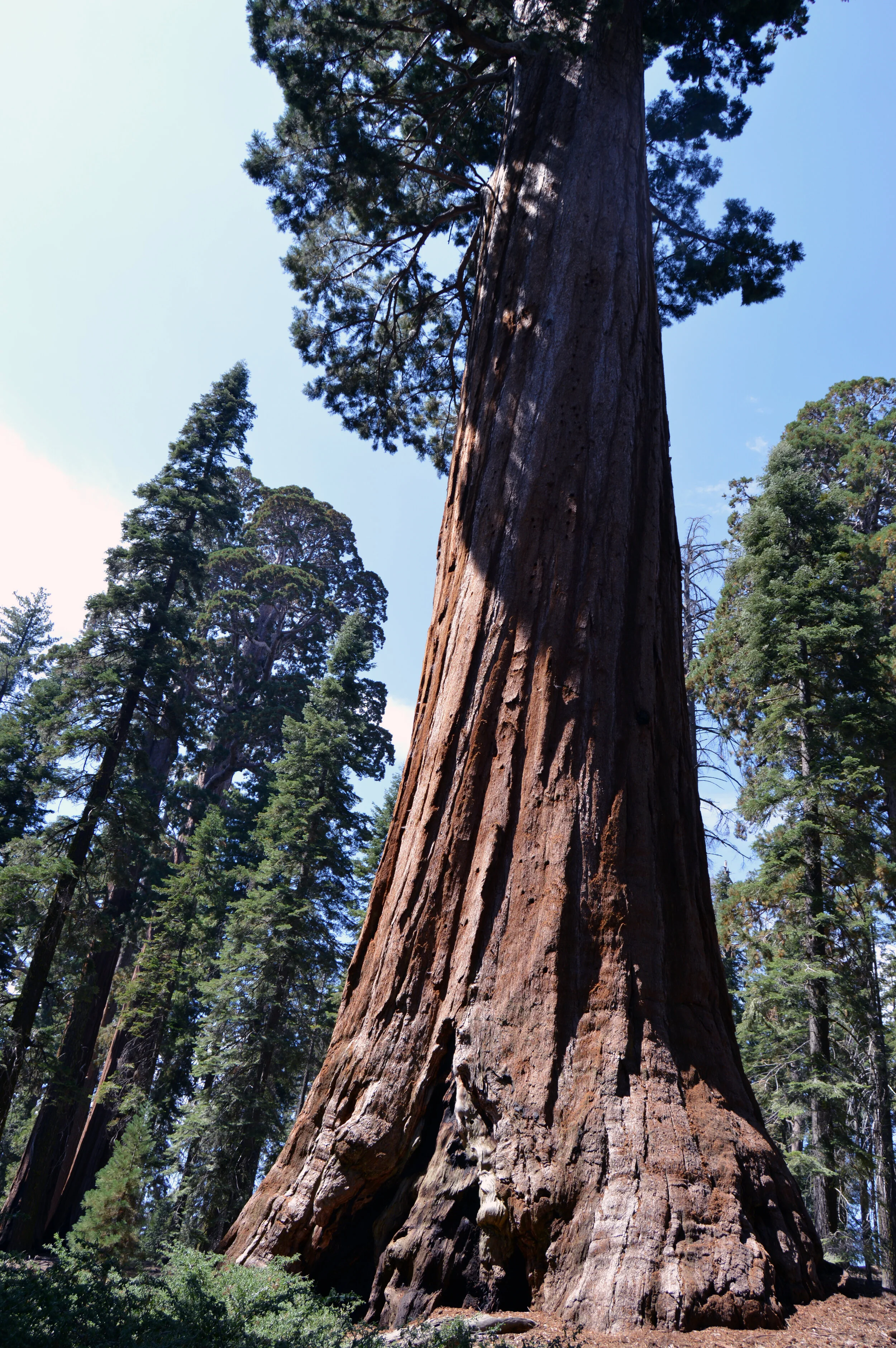 DSC_0268.JPG
