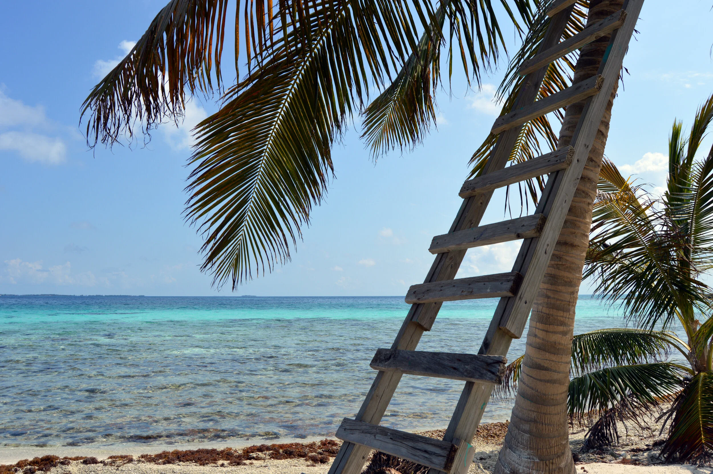 Belize 1.JPG