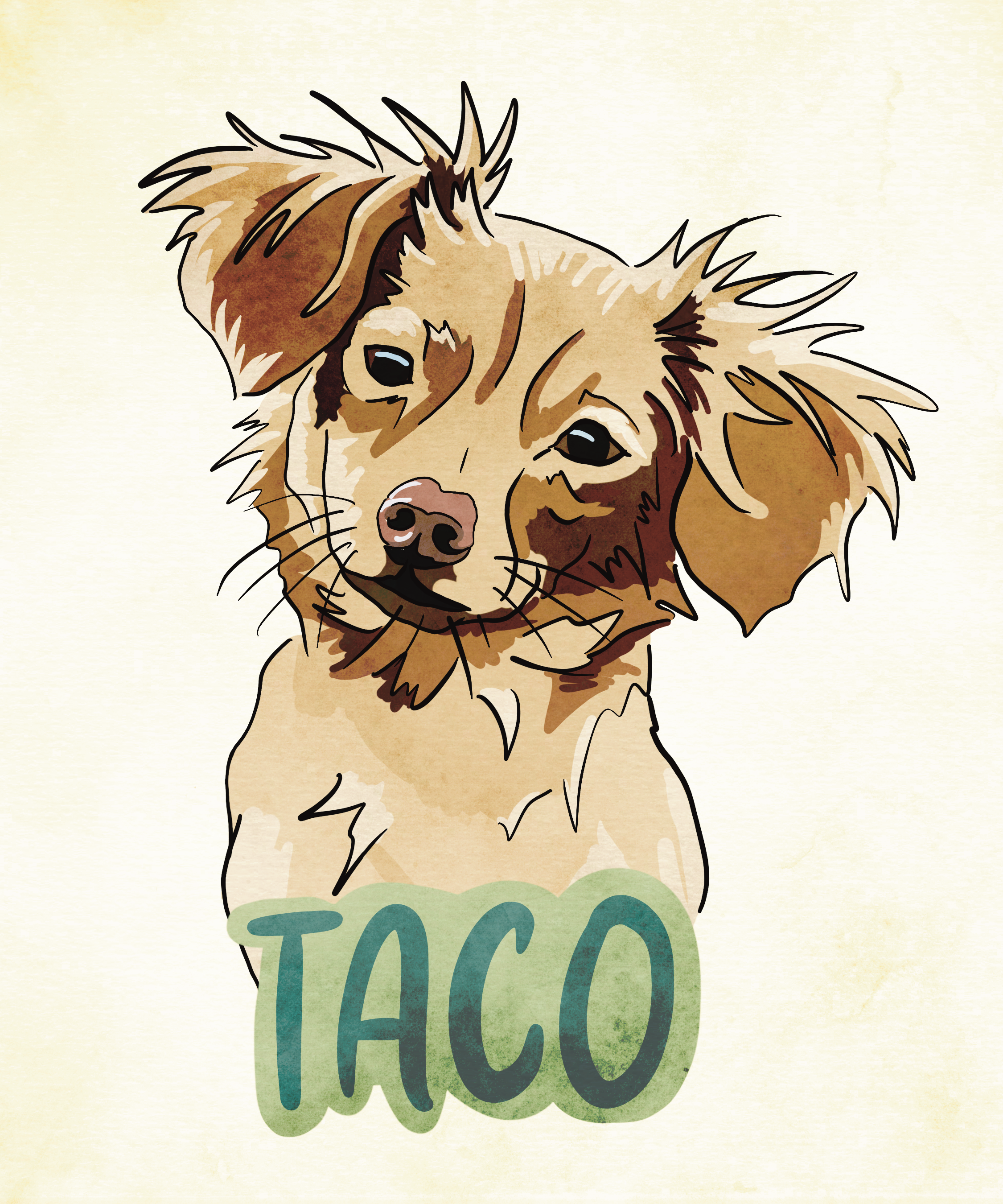 Taco.PNG