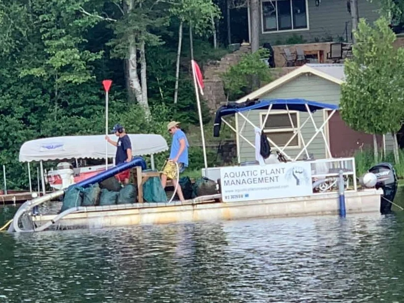 DASH removal of Eurasian Watermilfoil, July 2019