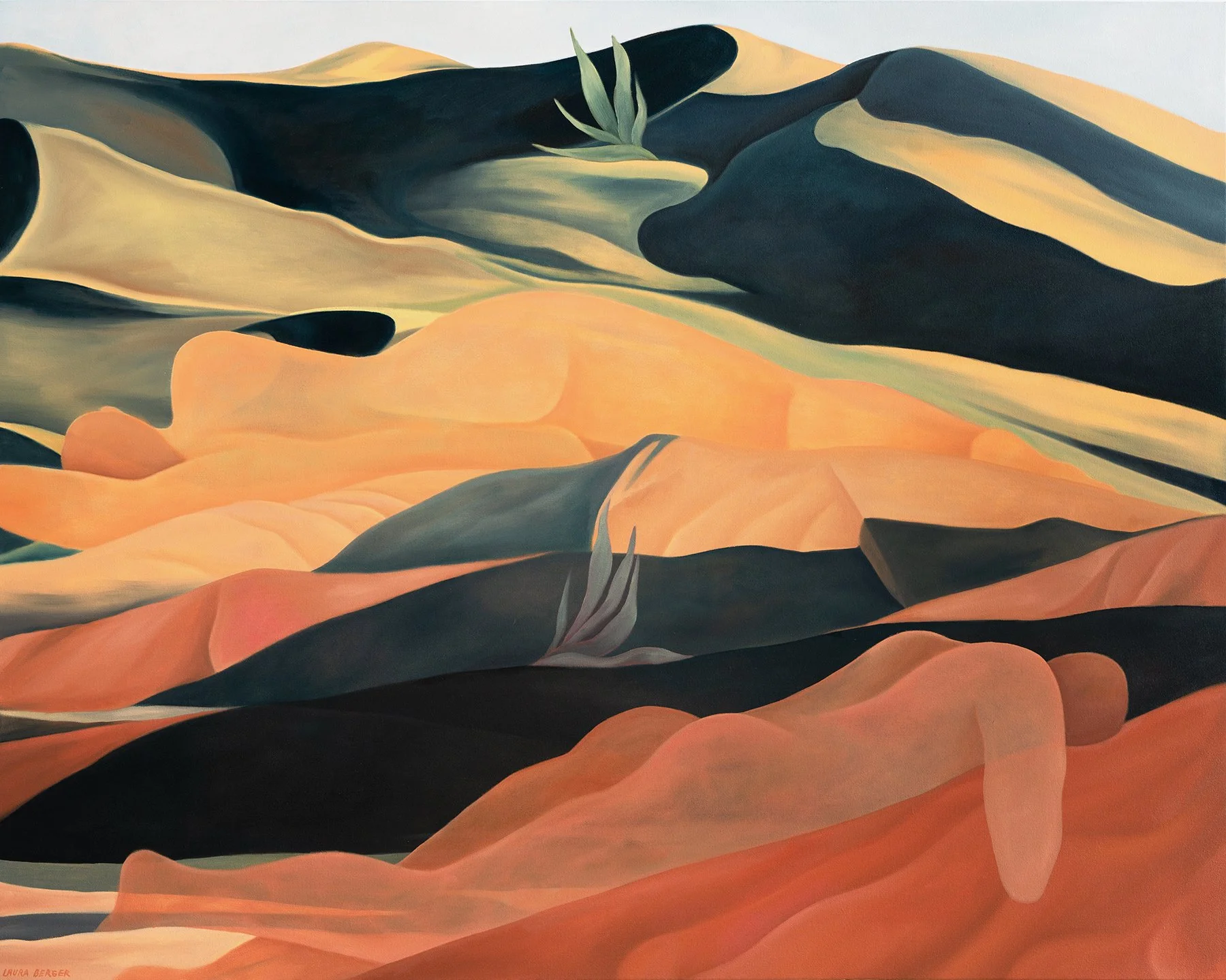 Desert Sleep.jpg