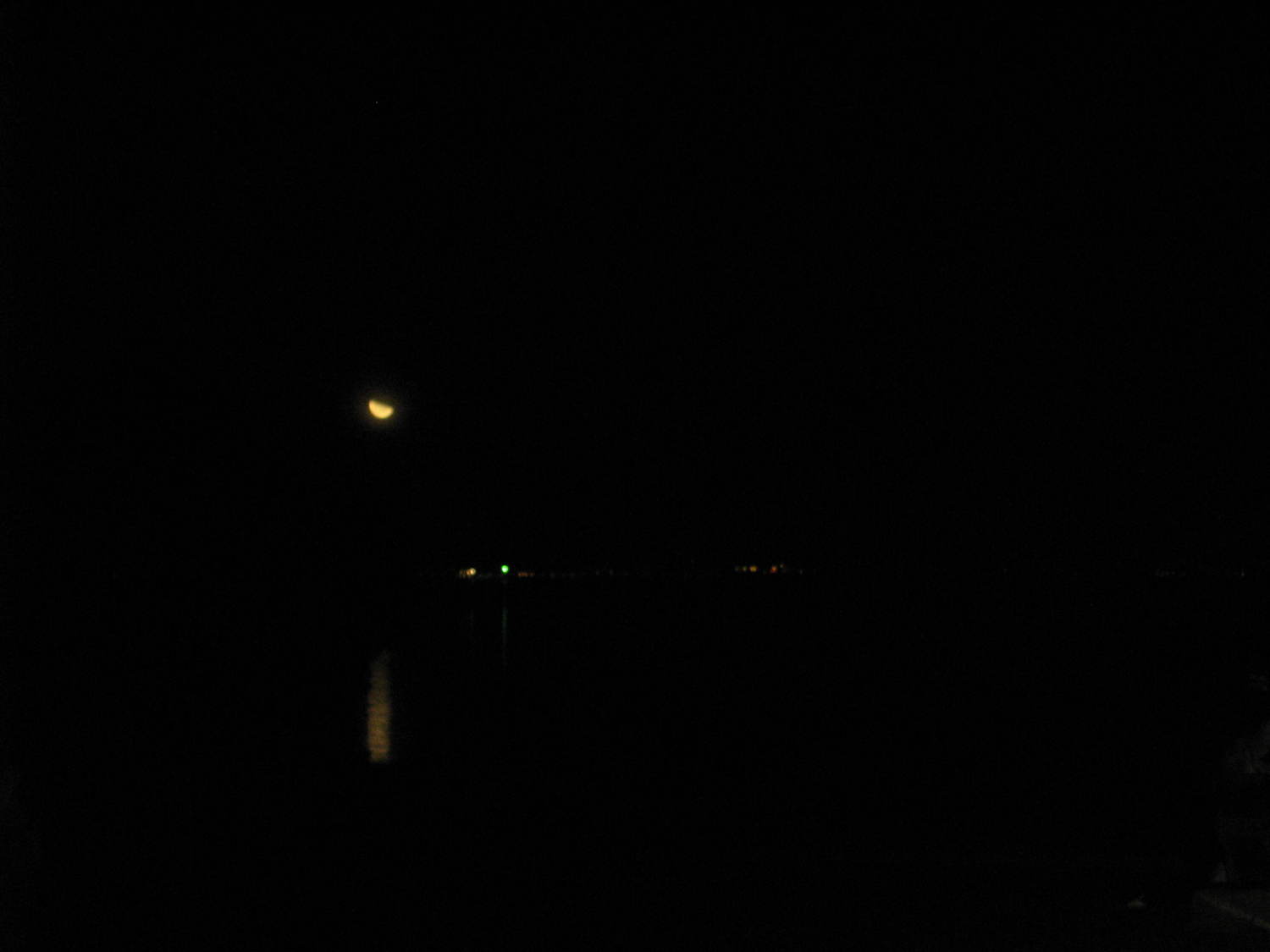 Moonlight.jpeg