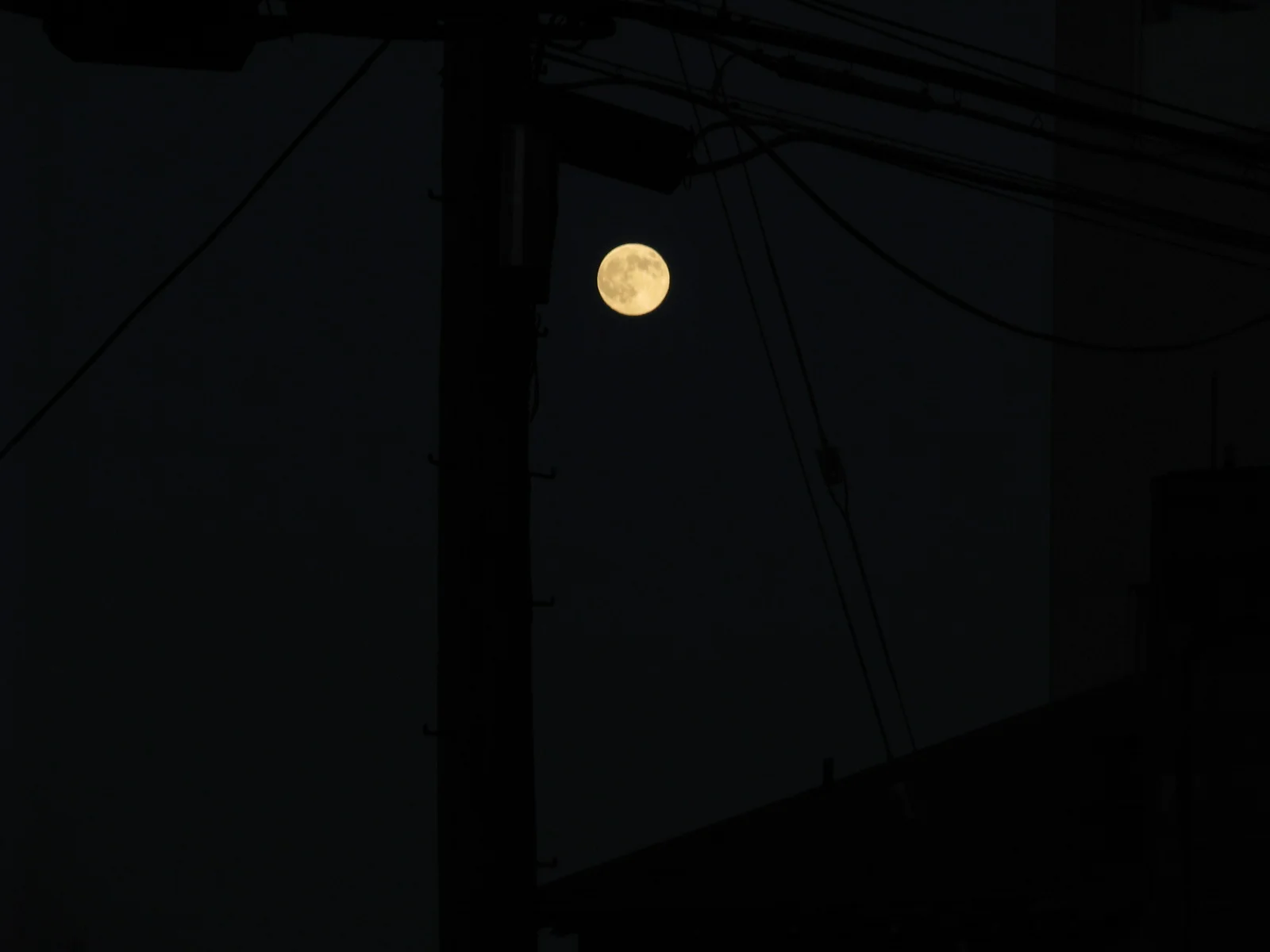 dark moon.JPG